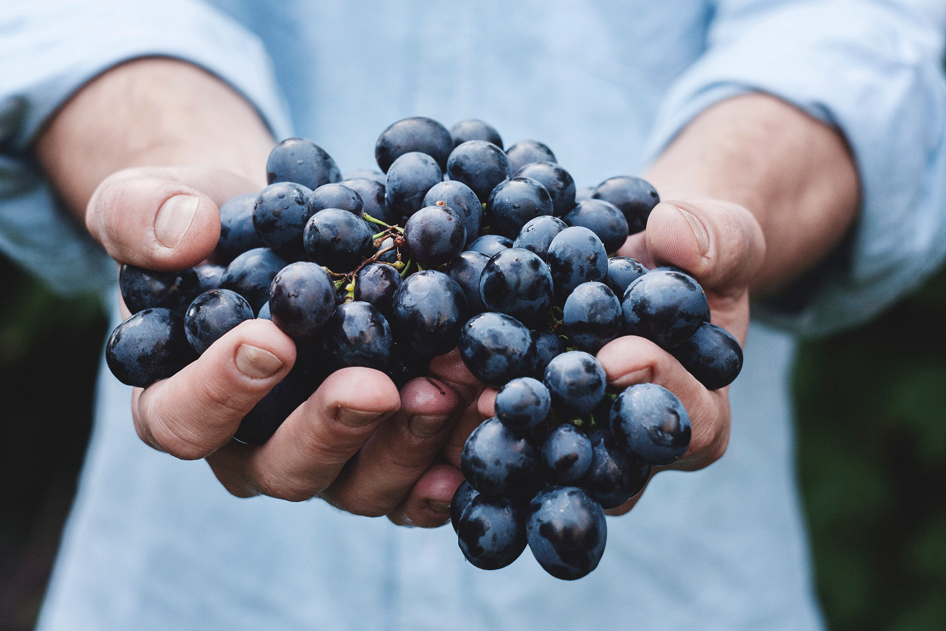 grapes.gif